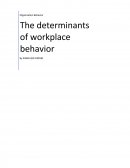 The Determinants of Workplace Behavior