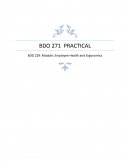 Bdo 229 - Module; Employee Health and Ergonomics