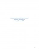 Criminal Law: Report on Juvenile Justice
