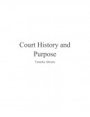 The American Criminal Court System History and Purpose