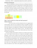 Defining the Characteristic Feature of the Mental Mask on the Wafer