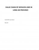 Value Chain of Seedless Lime in Long an Province
