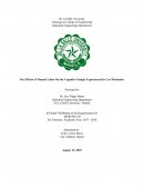 The Effects of Manual Labor on the Cognitive Fatigue Experienced by Car Mechanics
