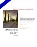 Marketing Report on Butter Stick