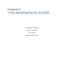 Company G 1-Year Marketing Plan