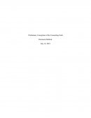 Preliminary Conception of the Counseling Field